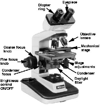 Microscopes My preferences 1. Binocular ocular lens 2. Mechanical stage 3.