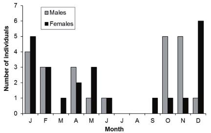 Ecology of a fossorial snake Fig. 4. Seasonal abundance of adult males (n=23) and females (n=24) of P. lativittatus based on animals deposited in herpetological collections examined. (χ 2 =11.