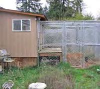 The servals ran loose in the house. Outside, a six-year-old cougar was kept on his own in a small pen attached to what appeared to be the garage. The pen was barren. (See Fig.