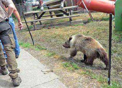 which clearly was not the case in this instance. The owner also entered a pen containing two bears, one of whom had attacked him severely in the past.