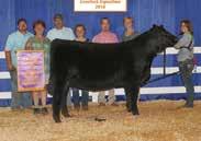 DARB Broker Girl was an outstanding female whose show record includes being named the Grand Champion Percentage Simmental heifer at the 2019 Dixie National Livestock Show and Supreme Champion at the