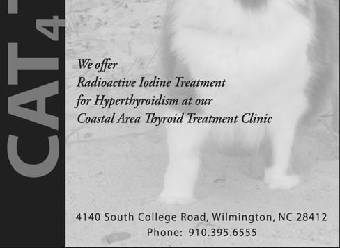 I currently am being treated for Periodontal Disease, tooth abscesses, fleas, and being underweight.