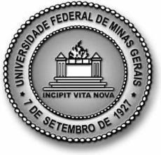 Universidade Federal de Minas Gerais Programa de Pós-Graduação em