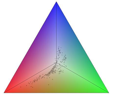 c) Robson projection of color points, which is a visual