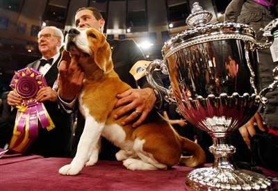 It was the first time a dog in his Group won that title.