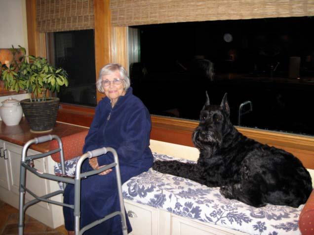 A story about a magnificent Giant Schnauzer, Little Nell, who lives with us and has trained us well ~ by Anita and Jim Lewis In September 2001, we brought home our beautiful puppy.