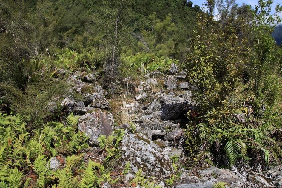 FIGURE 6: Extensive boulder banks on stable terrace of Macgregor Creek provide good