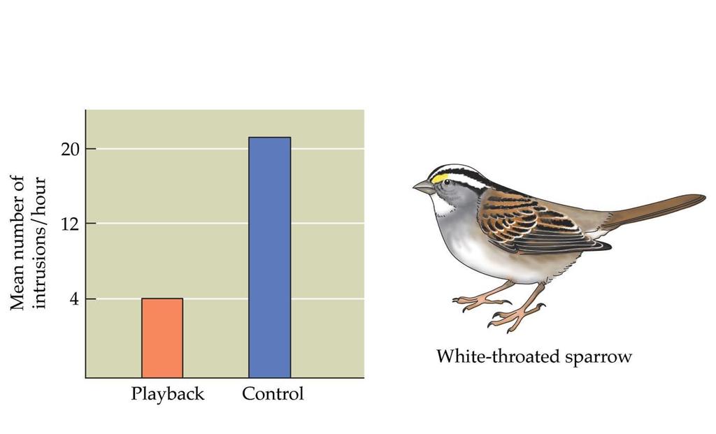 2.17 Does bird song repel territorial intruders?