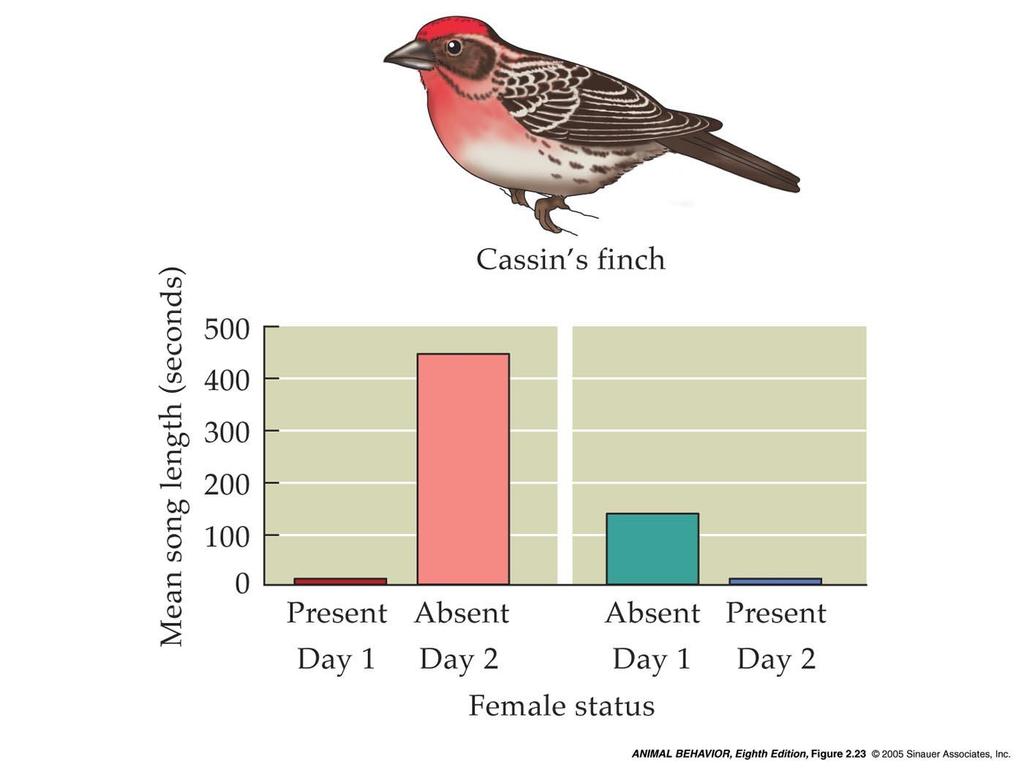 2.23 Evidence that male Cassin s finches direct their songs at