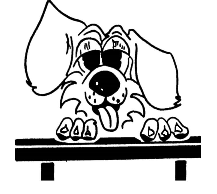 2016 Warrnambool Dog Training School Back to Back Agility &