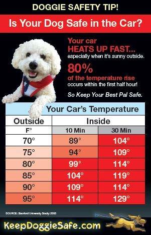 exercise with your pet! Don t leave pet in car on warm days.