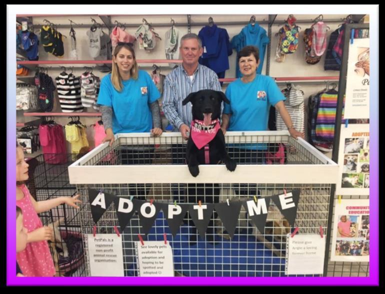 However, with a new baby in the home, it became difficult for the family to give Angie the necessary exercise and attention she required, so they contacted PetPals and asked if we could find a more
