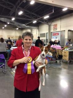 Swiss Mountain Dog Specialty won Best in Puppy Classes.