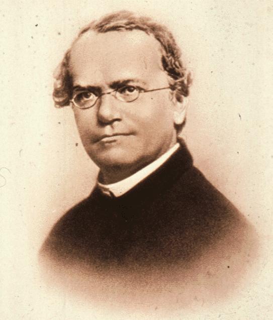 The Inheritance of One Trait Gregor Mendel