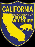 LISTED AS THREATENED. SANTA BARBARA & SONOMA COUNTIES DPS FEDERALLY LISTED AS ENDANGERED.