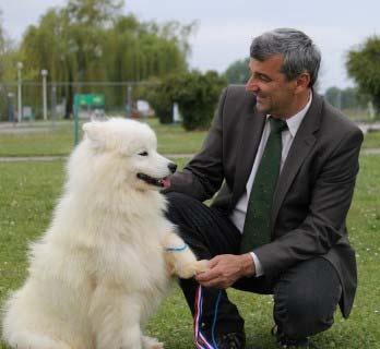 FRANJO KOVAČEV Since 1994 I have been actively involved in the dogs world. That year we bought our first Samoyed.