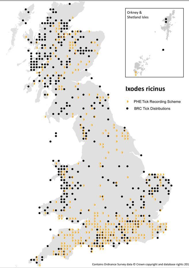Lyme Disease Tick distribution map for Ixodes ricinus, as recorded by the Public Health