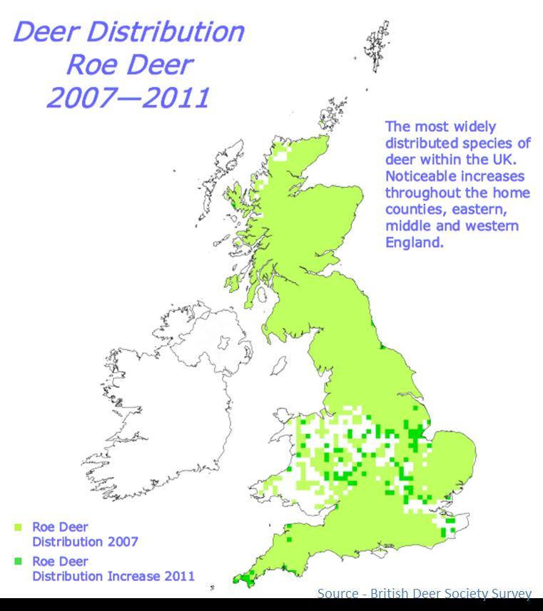 foci for Lyme disease include:- The New Forest Salisbury Plain Exmoor The South Downs