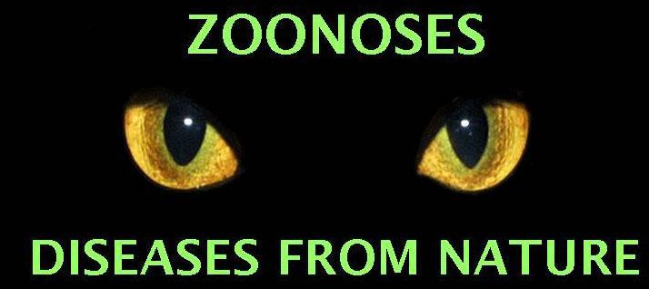 Definition Zoonosis A Zoonosis is defined by the World Heath Organisation as :- Those diseases &
