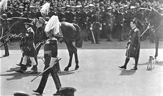 The funeral procession of King Edward VII, featuring his favourite dog Caesar. Image: Miyagawa/Wikimedia Commons.
