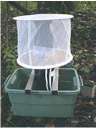 As the mosquitoes approach the trap, a small fan draws them into a net, which is located at the bottom of the trap.