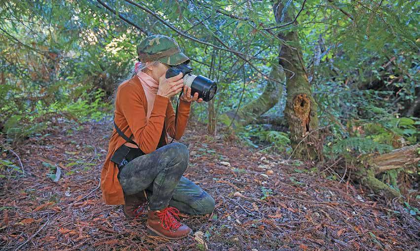 Janet Kessler, known locally as "The Coyote Lady," has been observing and photographing coyotes around Pacifica for more than a decade.