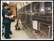 that the shelter inspected each animal each day to evaluate and monitor needs for housing, care, or services.
