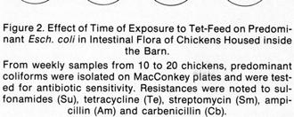 coli in chickens receiving tetracycline >10 wks A similar