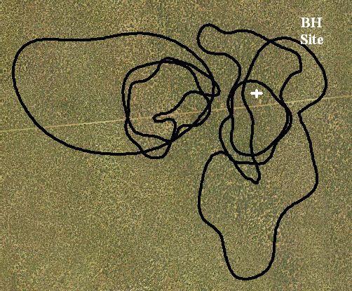 a) b) Plate 5.2. Spatial movements of merrnine at BH Site showing home range overlap.