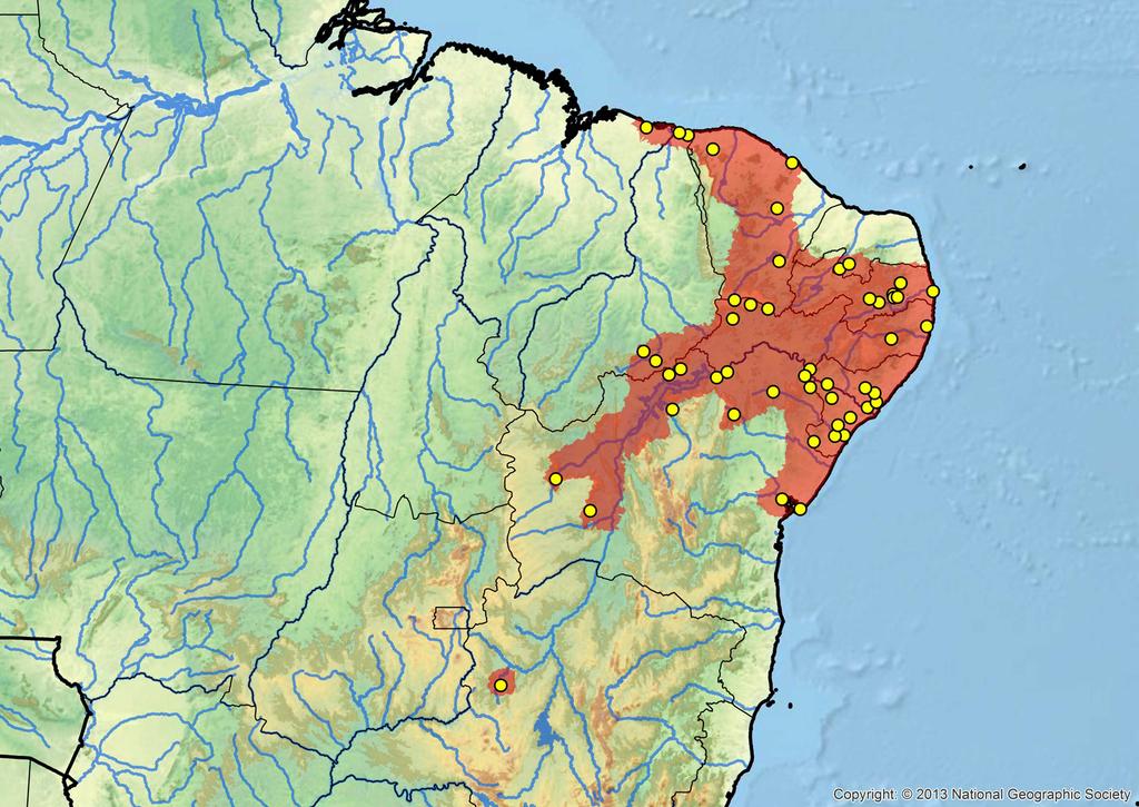 097.4 Conservation Biology of Freshwater Turtles and Tortoises Chelonian Research Monographs, No. 5 Figure 5. Distribution of Mesoclemmys tuberculata in northeastern Brazil.
