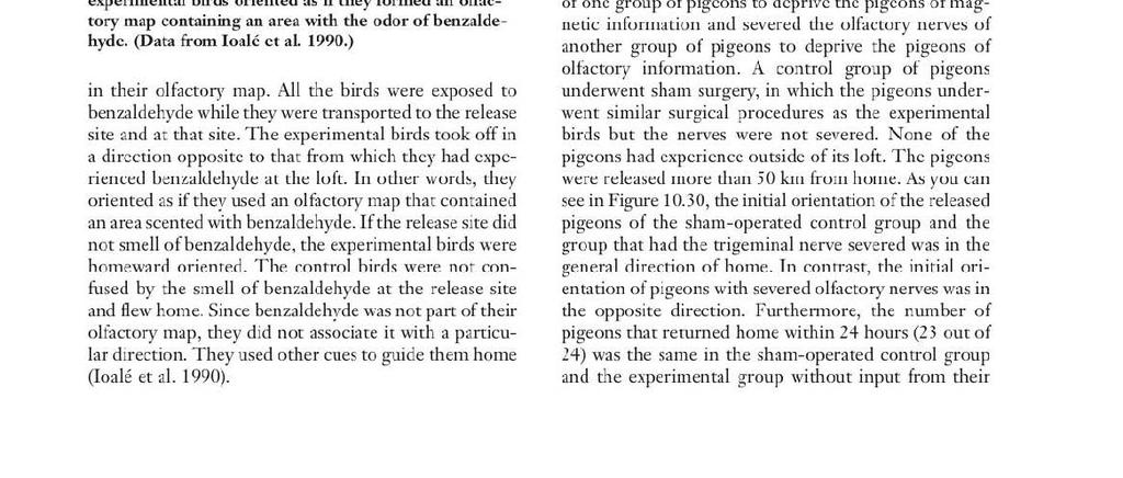 (u) Tltt: t:xpt:rimemal pigeons were kept in a loft that was exposed TO narural odors, as well as to a breeze carrying the odor ofbenzaldehyde from a source northwest of the loft.