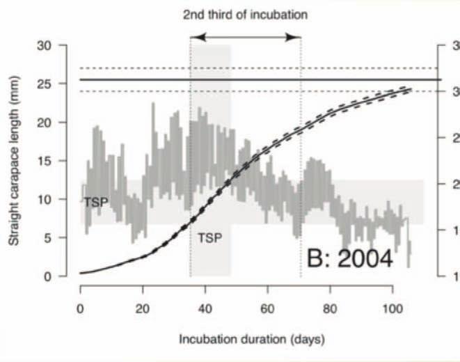 (2017) From air temperature to sex ratio for Emys orbicularis in natural