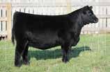 7 62 106 18 49 n/a n/a n/a In our Chapter IV sale we sold choice on two popular First Class daughters.
