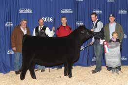 Champion Purchased by Riverfront Angus