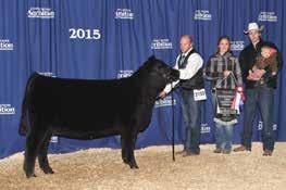 Purchased by W Sunrise Angus Brooking