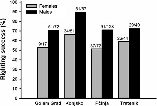 A. Golubović et al. Righting behaviour in Hermann s tortoise Table 2 Post hoc (Tukey s unequal N HSD) test between sexes and among populations Sex & LOC F GG F KO F PV F TS M GG M KO M PV M TS F GG 0.