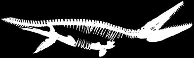 A: Mosasaurs are a group of lizards that lived in Earth s oceans between 92 and 65.5 million years ago.