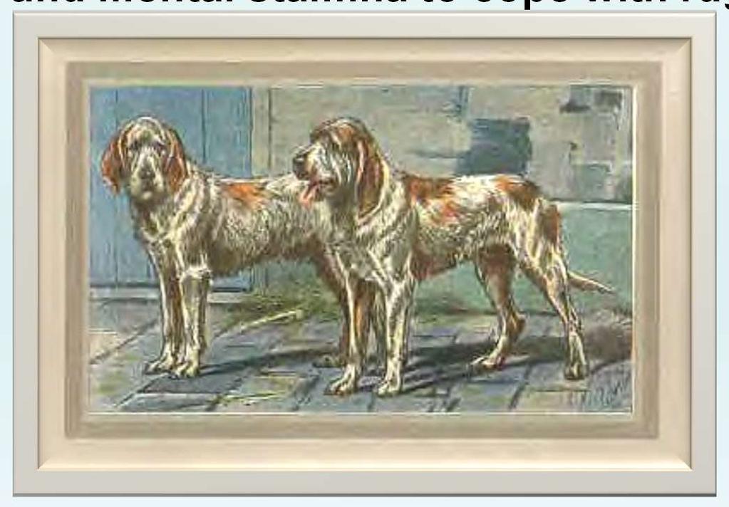 ~ A Brief History ~ The breed.. can be traced back to a combination of rough-coated Roman hounds and a rough-coated Gallic breed, which produced a big, powerful scent-hound.