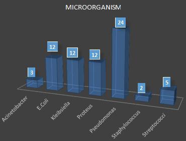 Table 10: Showing Microorganisms Microorganism Acinetobacter 3 4.30% E.Coli 12 17.10% Kleibsiella 12 17.10% Proteus 12 17.10% Pseudomonas 24 34.30% Staphylococcus 2 2.90% Streptococci 5 7.