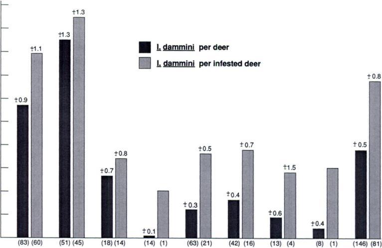 GILL ET AL.-BORRELIA BURGDORFER! IN IXODES DAMMINI IN MINNESOTA 69 18 I Males Females FIGURE 3. The mean number of Ixodes dammini found on one side of the neck of deer grouped by sex and age.