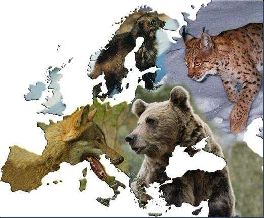 Carnivore Initiative for Europe (John D. C.