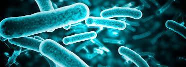 What is Antibiotic Resistance? Bacteria are experts in finding ways to avoid the effect of an antibiotic.