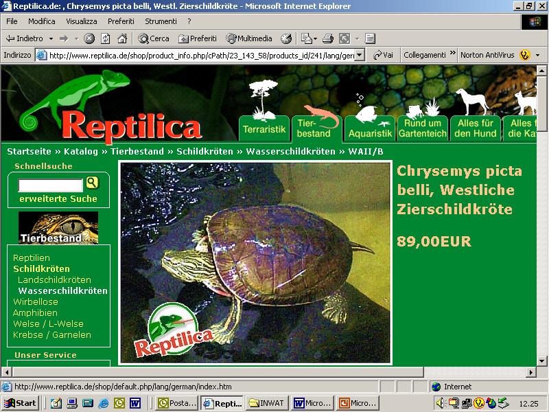 The pet trade (part III) After the suspension of trade of Trachemys scripta elegans in 1997 Chrysemys picta was identified as a potential