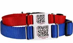 QR ID Tag Collars PetHub ScruffTag Collars by DogIDs MADE IN THE USA ScruffTag Collar Options (Applies to All Collar