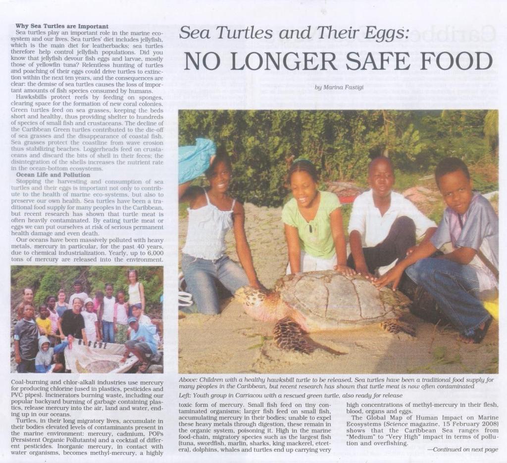 We received positive feedbacks from readers as far as China (from Sea Turtles