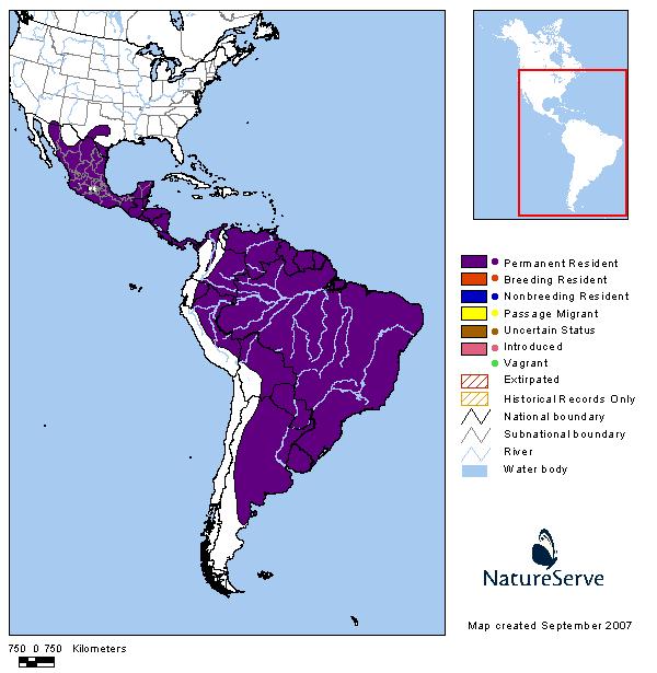 Fig. 3. Map of Chloroceryle americana range. [http://www.birdphotos.com/photos/v?