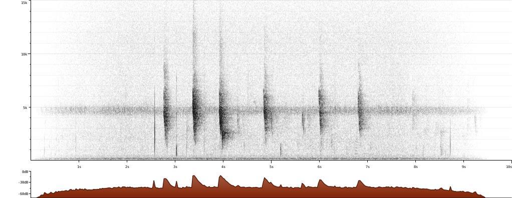 Fig. 5. Sonogram of green kingfisher call. [http://www.xeno-canto.