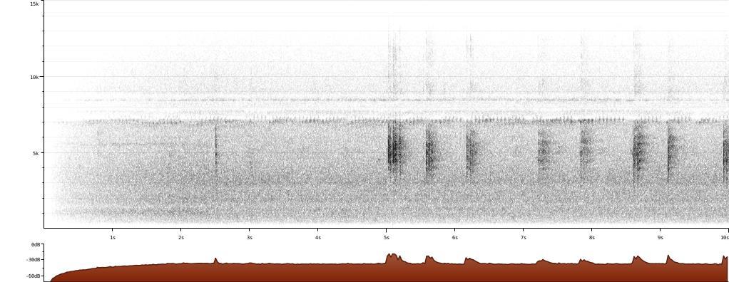 Sonogram of green kingfisher alarm and distress calls. [http://www.xeno-canto.