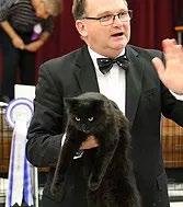 Veikko Saarela (Fife Finland) Veikko has been a Longhair Judge with FIFE since 1994 extending his license to All Breeds in 2012 he is still actively breeding Persians & Exotics under the cattery name