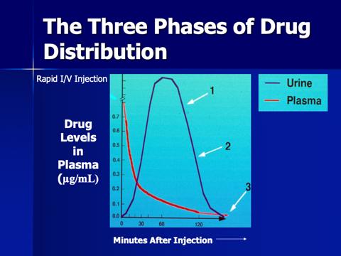 However, since drugs and their metabolites are concentrated in the urine, the use of urine can result in detections in terms of days after administration.